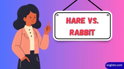 Hare vs. Rabbit